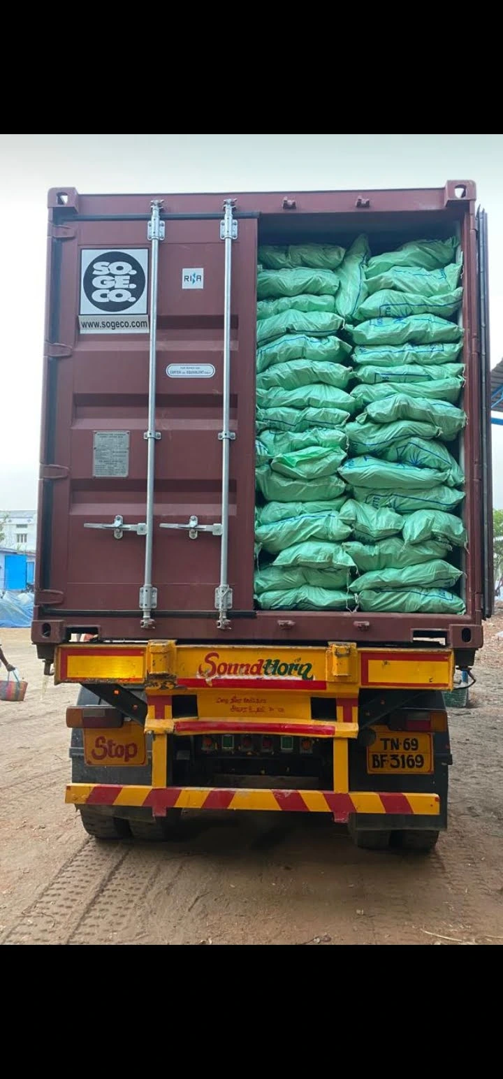 Bulk Coconut Supply
